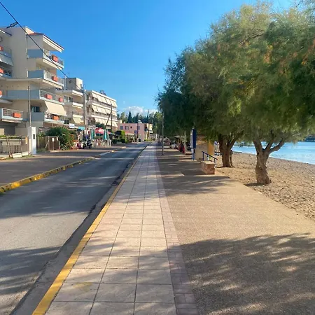 Alcon * Λευκαντί